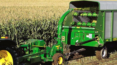 CroppedImage500278-3975FH.jpg