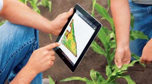 CroppedImage500278-Mobile.jpg
