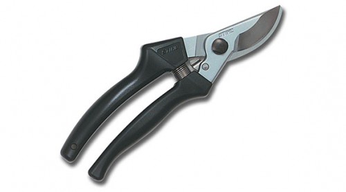 CroppedImage500278-PP-40.jpg
