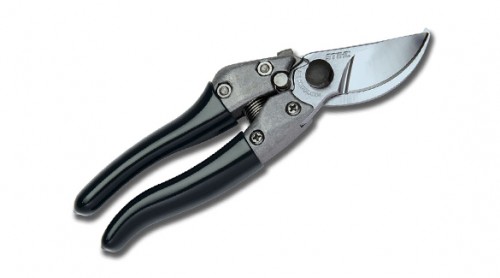 CroppedImage500278-PP-60.jpg