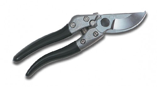 CroppedImage500278-PP-70.jpg