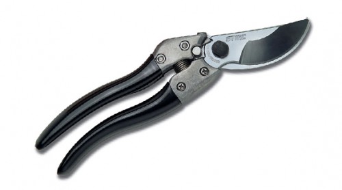 CroppedImage500278-PP-80.jpg