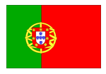 pt flag
